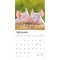 Piglets | 2026 12 x 24 Inch (Hanging) Monthly Square Wall Calendar | Plastic-Free